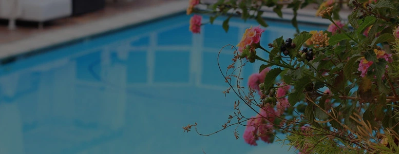 Pool Opening Services in Philadelphia, PA